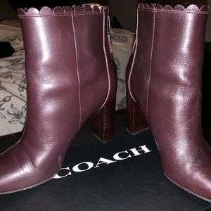Plum Leather Coach booties